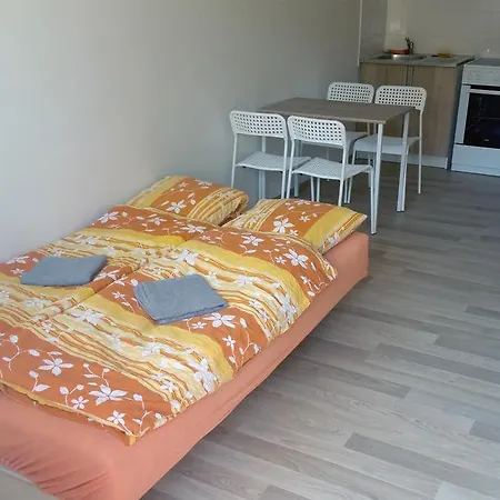Apartment Usmev 3*